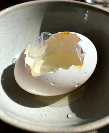 合規(guī)適配!雞蛋藥物殘留檢測儀符合國標檢測標準